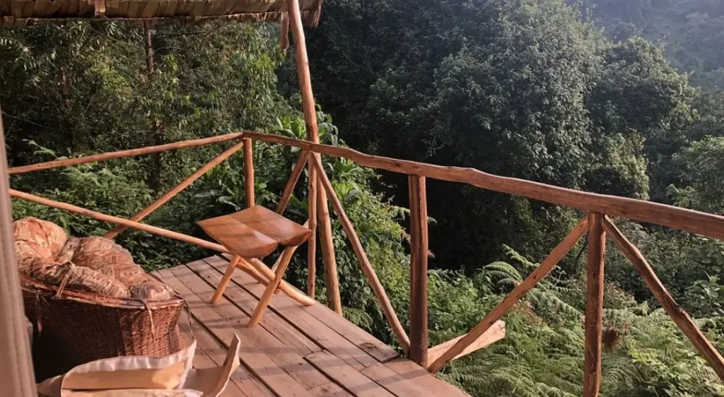 A wooden viewing platform nestled deep in the forest, ideal for birdwatching in the Ruhija sector.