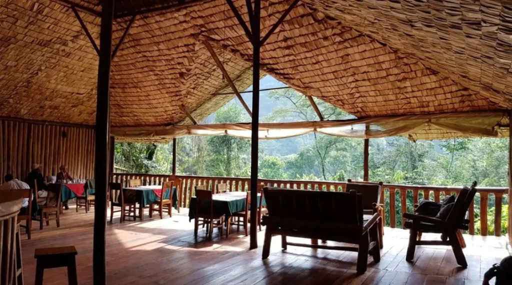A rustic wooden lounge and dining area with a thatched roof overlooking the Buhoma forest canopy.