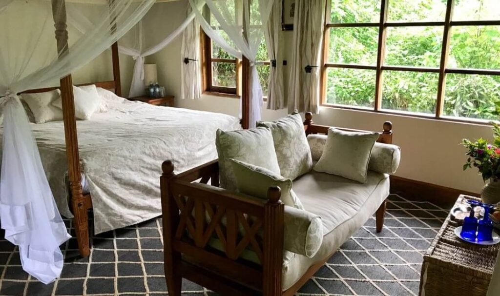 A luxury safari room with a comfortable seating area, white linens, and large windows showcasing the impenetrable forest.