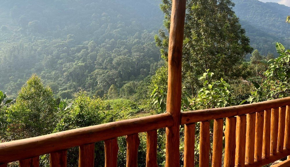 View from a wooden balcony overlooking the mist-covered hills of the northern Bwindi sector.