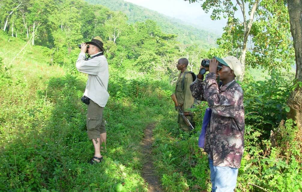 A birding guide and tourists scanning the forest canopy during a specialist birding walk in Bwindi National Park