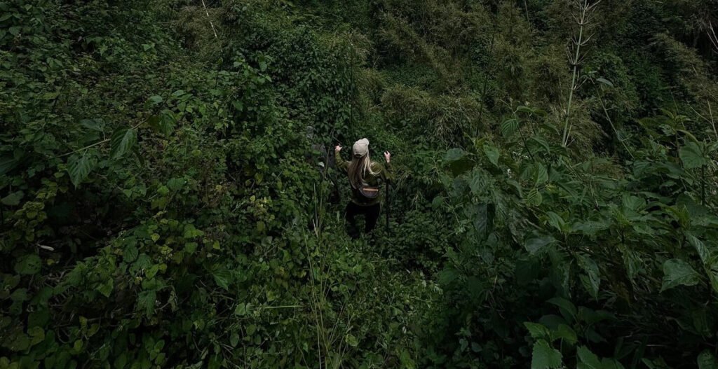 A narrow, misty trail winding through the thick, ancient canopy of a Ugandan rainforest.