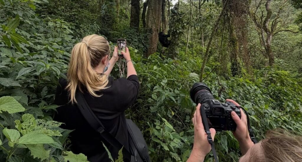 A photographer with a professional camera and long lens focused on a gorilla hidden among the leaves, illustrating the careful observation during the one-hour visit.