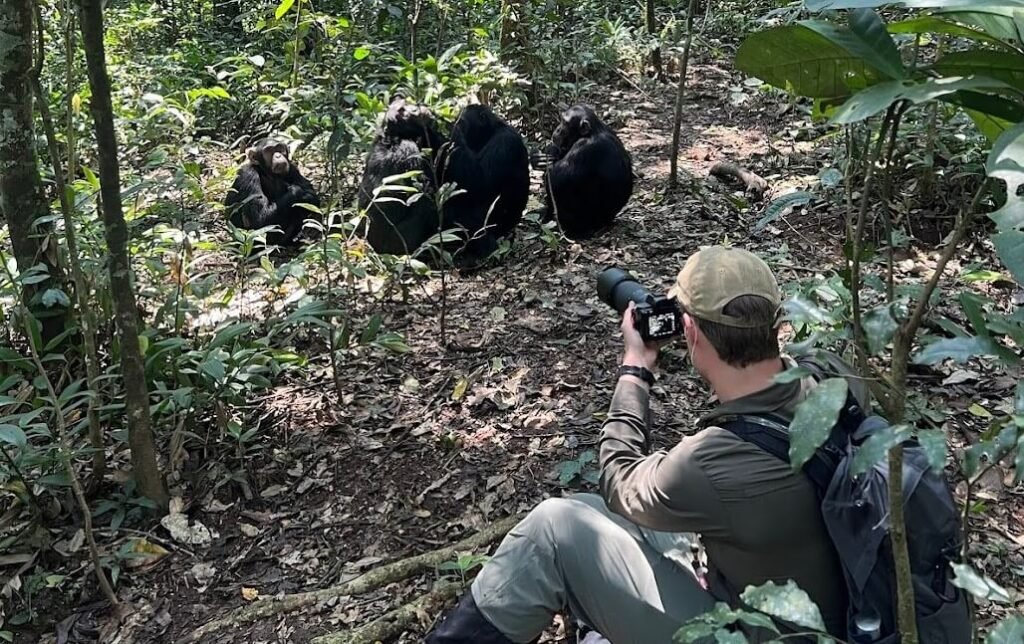 A traveler crouched low in the undergrowth, carefully using a professional camera to photograph a gorilla nearby.
