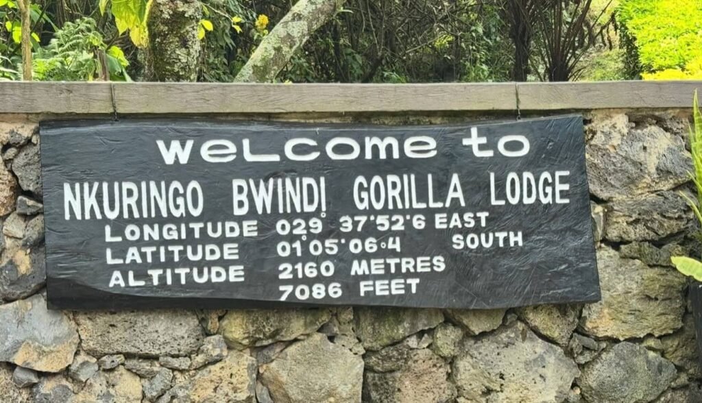 The "Welcome to Nkuringo Bwindi Gorilla Lodge" sign, showcasing the entrance to a popular gorilla trekking sector.