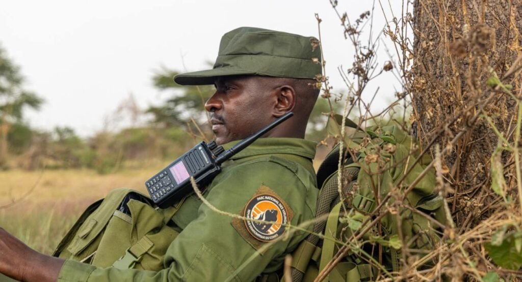 A close-up of a park ranger in uniform looking out over the Congolese wilderness, highlighting the watchful security presence.