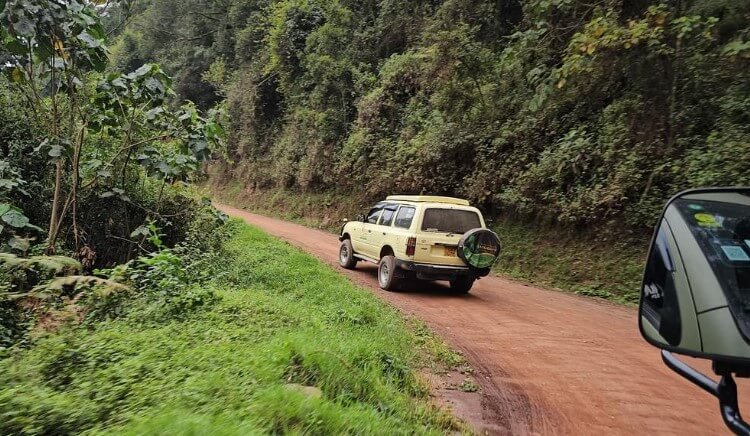 A white safari land cruiser navigating a narrow, forested road in the Bwindi Impenetrable Forest region.