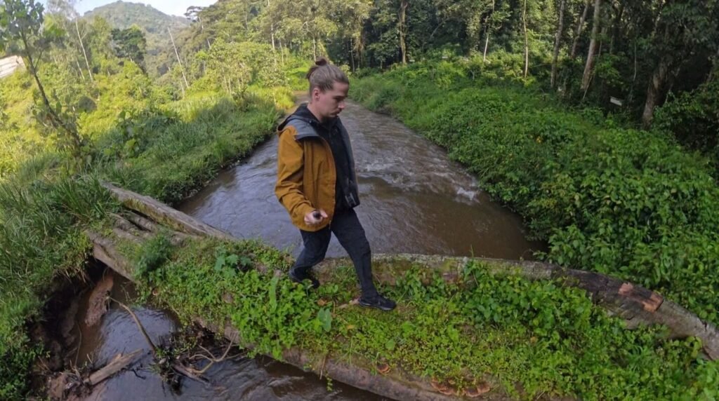 A traveler carefully walking across a narrow wooden footbridge over a small jungle stream, surrounded by vibrant green foliage.