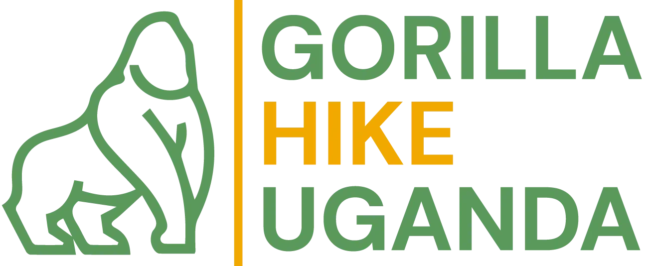 Gorilla Hike Uganda