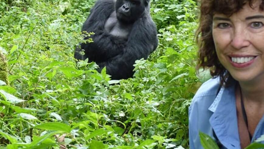 Researchers and visitors during gorilla habituation experience in Bwindi