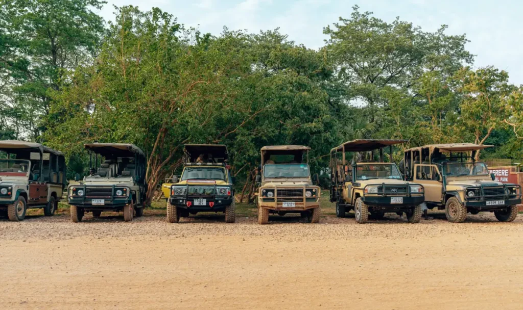 Line of 4x4 land cruiser safari vehicles parked on a dirt track before a game drive in Uganda
