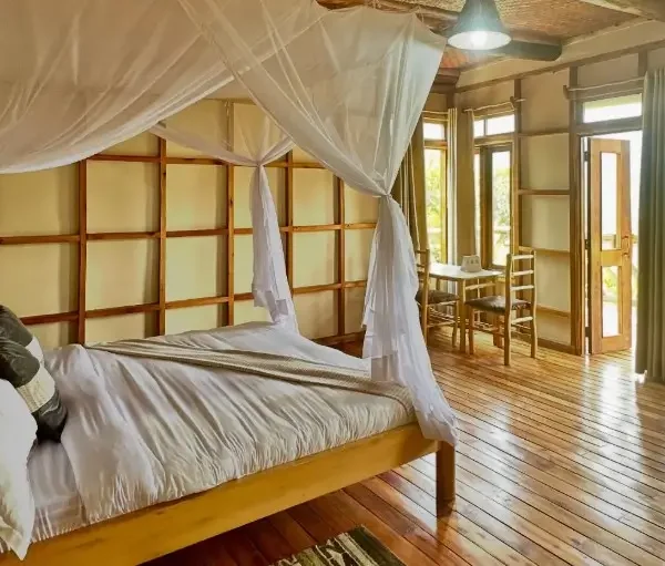 A bright and airy luxury bedroom with a four-poster bed, mosquito netting, and large windows facing the Bwindi rainforest.