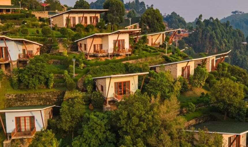 Where to Stay for Gorilla Trekking in Bwindi: A Lodge Guide for Every Sector and Budget