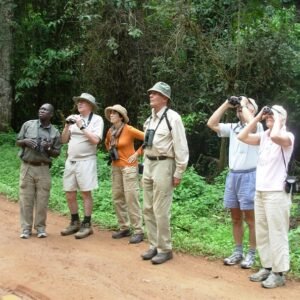 A group of birdwatchers standing on a forest trail during a guided birding excursion in Bwindi Impenetrable National Park