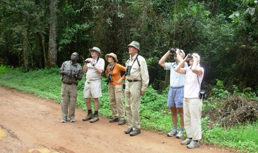 Birding in Bwindi: This Forest Belongs on Every Serious Lister’s Map