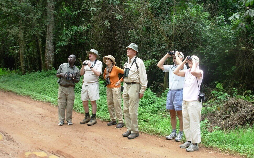 A group of birdwatchers standing on a forest trail during a guided birding excursion in Bwindi Impenetrable National Park