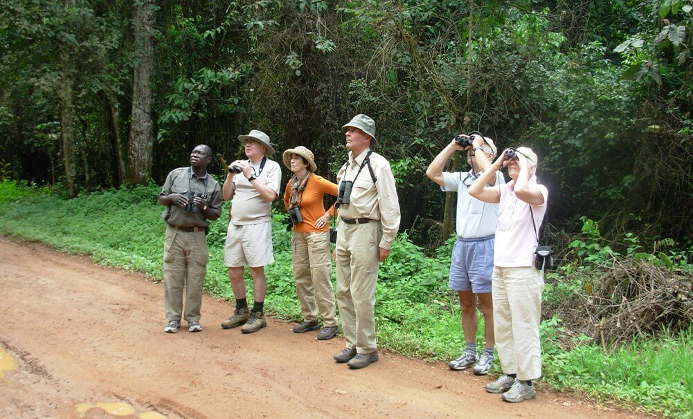 A group of birdwatchers standing on a forest trail during a guided birding excursion in Bwindi Impenetrable National Park