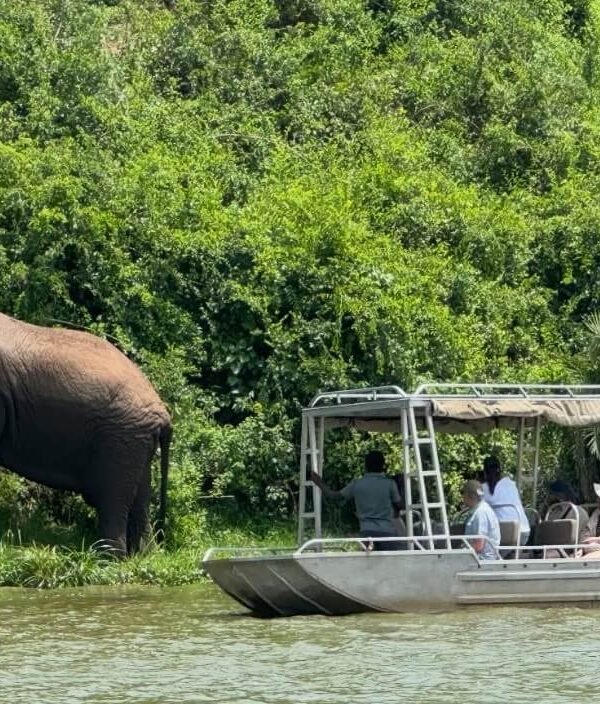 Tourist boat packed with visitors cruising the Kazinga Channel at sunset in Queen Elizabeth National Park Uganda