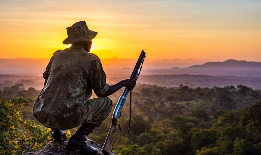 Bwindi’s Four Sectors Explained: Buhoma, Ruhija, Nkuringo and Rushaga
