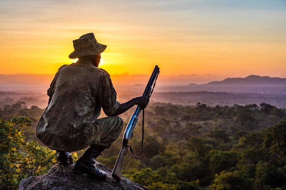 A silhouetted park ranger overlooking the misty valley at sunset, emphasizing the safety of gorilla trekking.