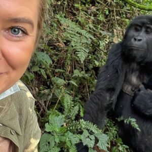 A close-up selfie of a female traveler with a large mountain gorilla visible just a few meters behind her in the forest undergrowth.