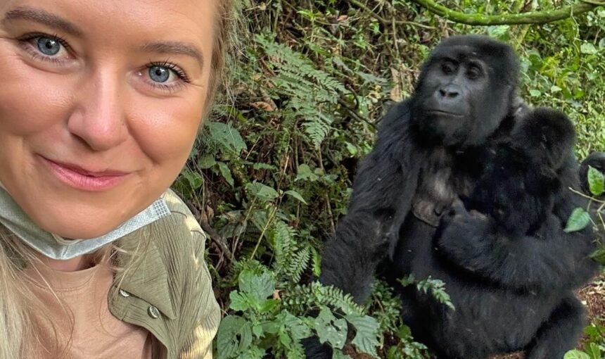 A Day on a Gorilla Trek: What Actually Happens, Start to Finish