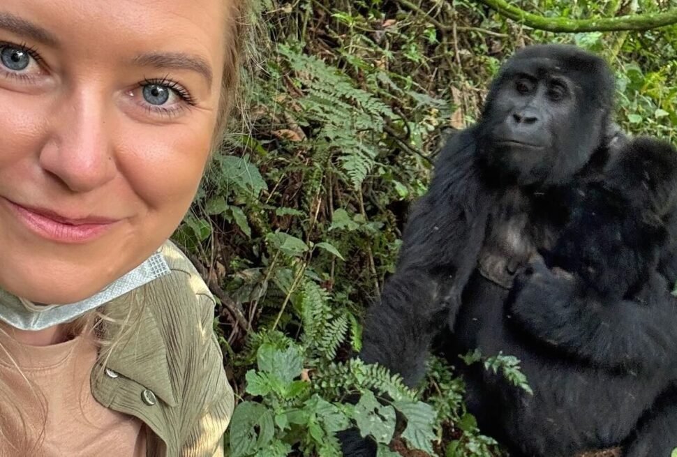 A close-up selfie of a female traveler with a large mountain gorilla visible just a few meters behind her in the forest undergrowth.