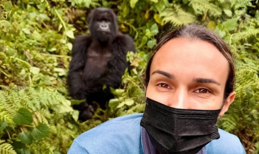 Gorilla Habituation vs Trekking: Choosing Your Bwindi Experience