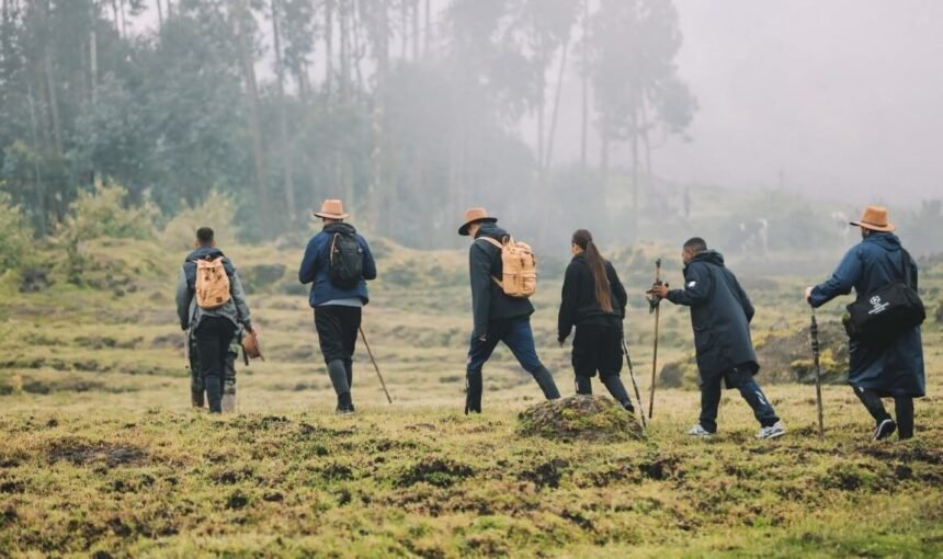 Best Time to Go Gorilla Trekking in Uganda: An Honest Month-by-Month Guide