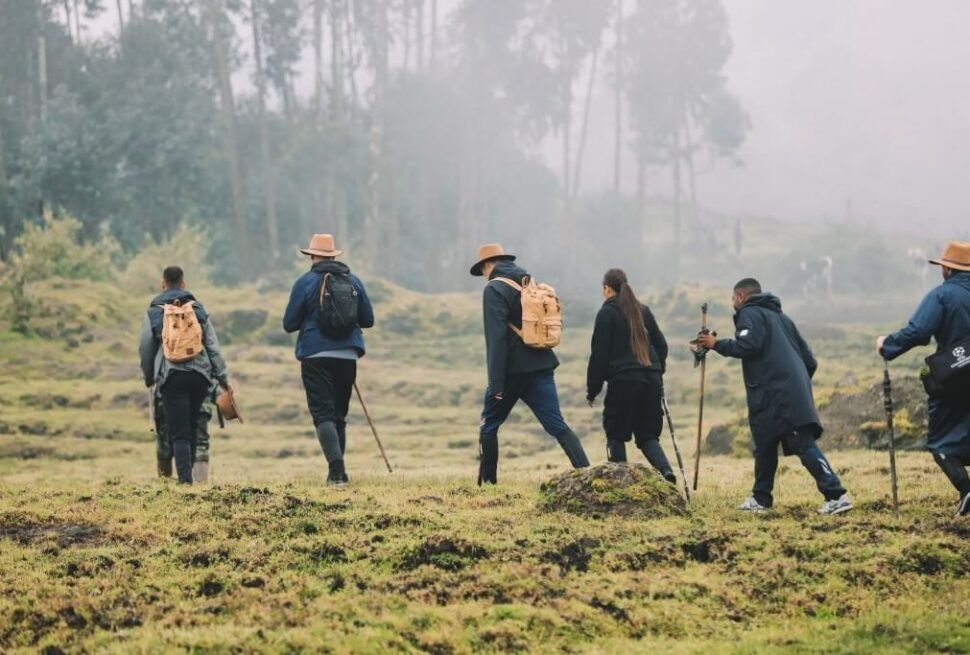 Gorilla trekking group walking through open terrain near Bwindi National Park, Uganda