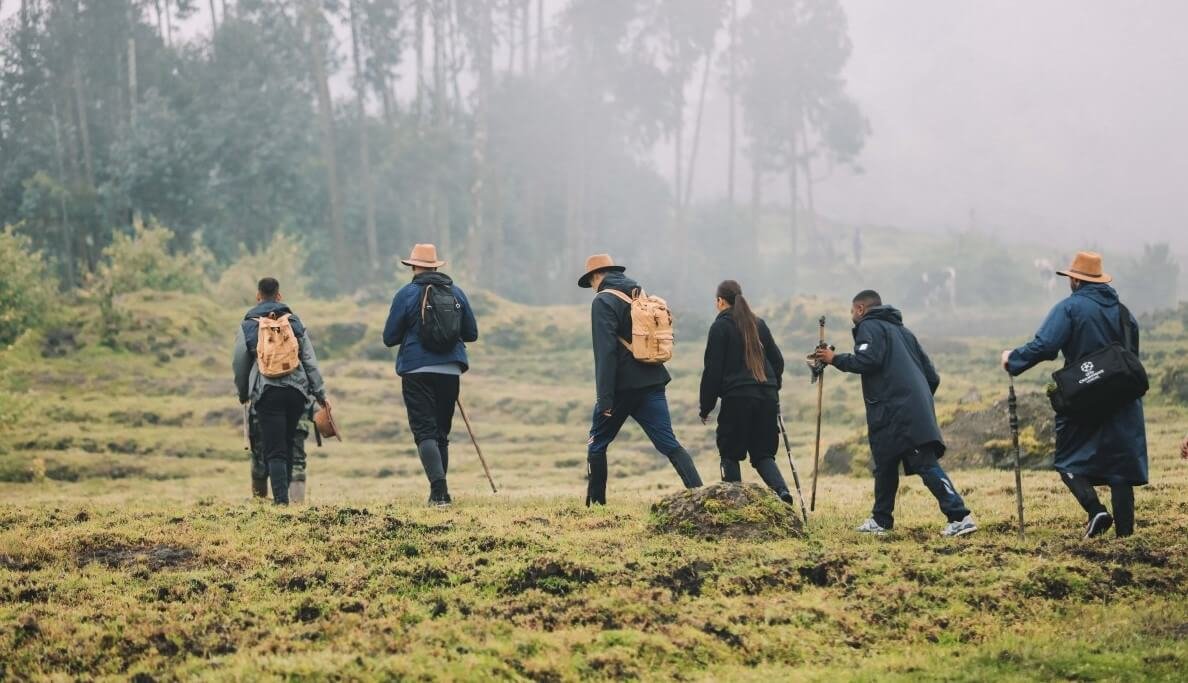 Gorilla trekking group walking through open terrain near Bwindi National Park, Uganda