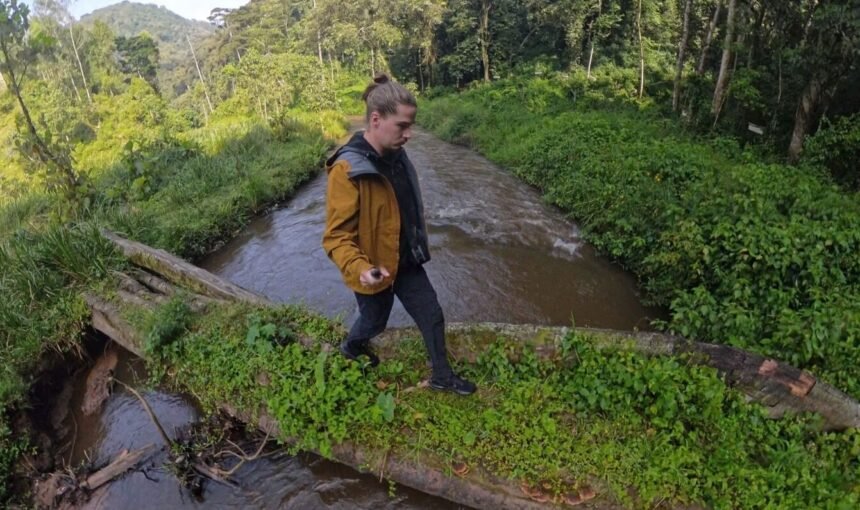 Is Gorilla Trekking Ethical? The Conservation Case for Going