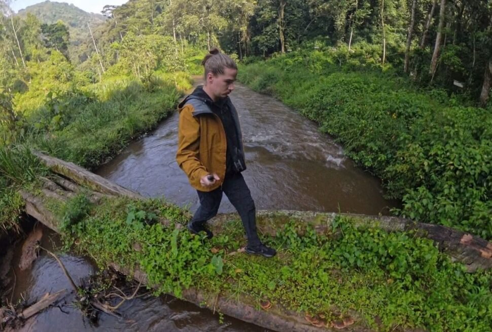 A traveler carefully walking across a narrow wooden footbridge over a small jungle stream, surrounded by vibrant green foliage.