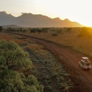 An aerial view of a safari vehicle driving along a dirt road through the misty hills of Bwindi at sunrise.