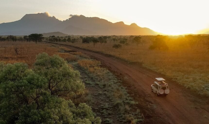 An aerial view of a safari vehicle driving along a dirt road through the misty hills of Bwindi at sunrise.