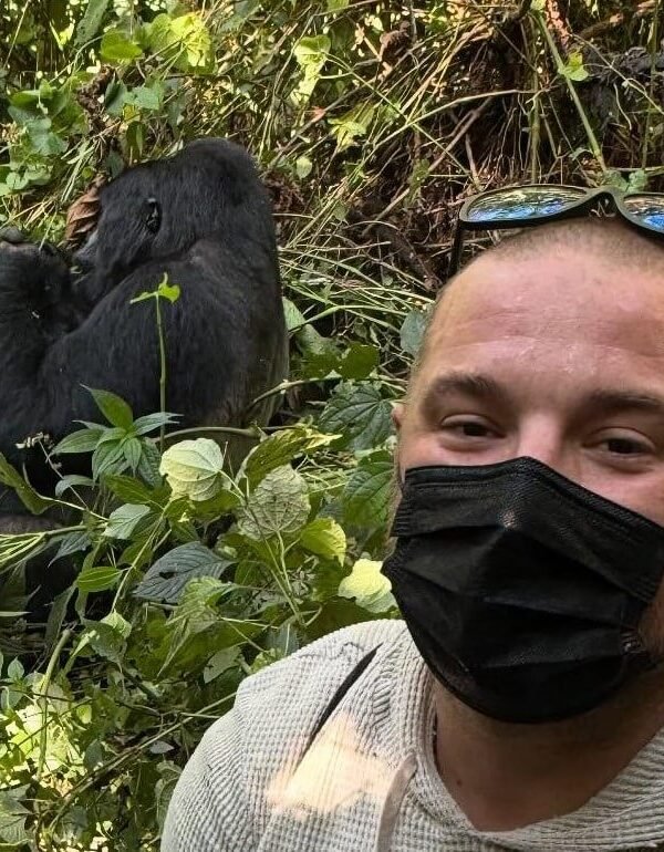 A man taking a selfie with a mountain gorilla just a few meters away in the forest.