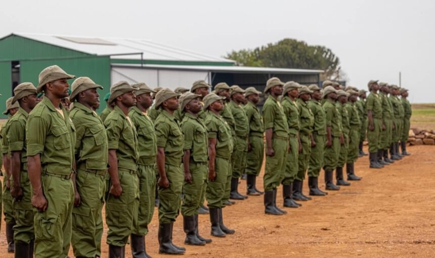 Is Gorilla Trekking in Congo Safe? A Brutal and Honest Assessment