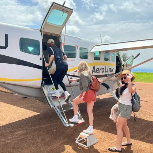7 Days Chimpanzee & Gorilla Fly-In Safari